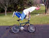 gut_lever_by_unknown_bmxtrix_viewer.jpg (88081 bytes)